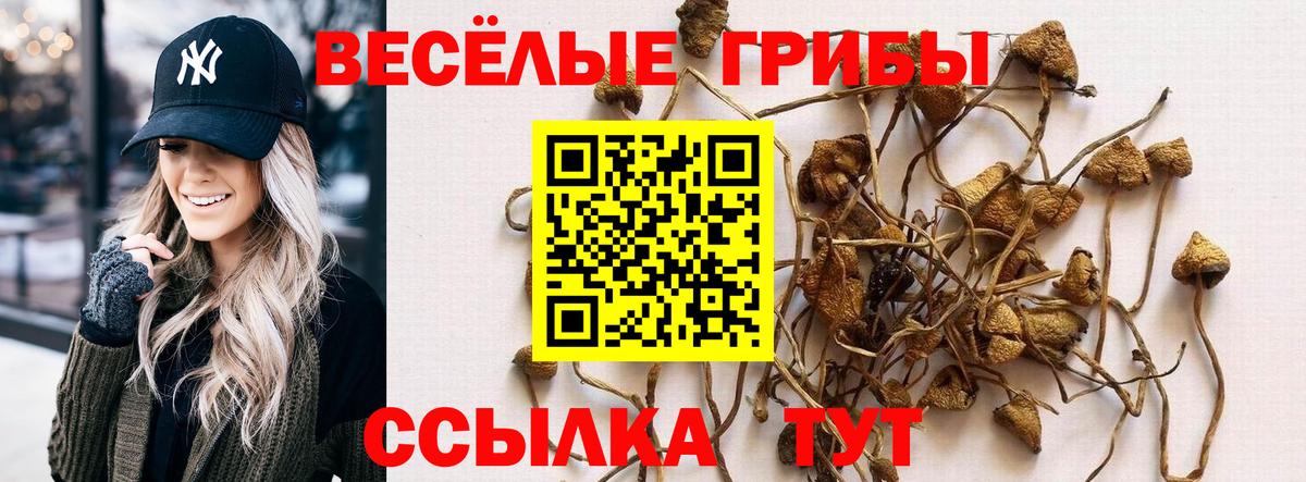 Будённовск  Псилоцибиновые грибы GOLDEN TEACHER  Вход с VPN 