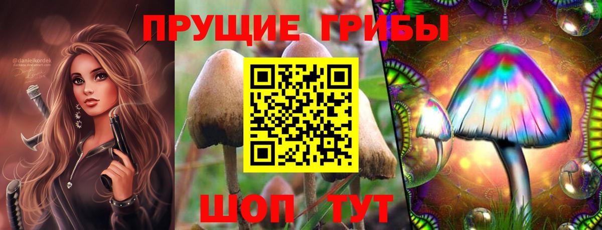 А ПВП Будённовск
